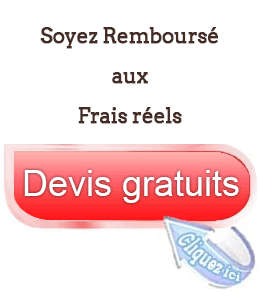 devis frais réels