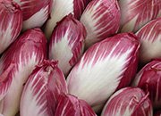 endive